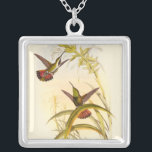 Two Colourful Hummingbirds Aiming for Same Flower Silver Plated Necklace<br><div class="desc">Artist John Gould was passionate about birds. In this coloured drawing,  the two hummingbirds and the flower are represented beautifully. The details in this colourful fine art will delight any art lover.</div>