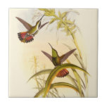 Two Colourful Hummingbirds Aiming for Same Flower Tile<br><div class="desc">Artist John Gould was passionate about birds. In this coloured drawing, the two hummingbirds and the flower are represented beautifully. The details in this colourful fine art will delight any art lover.</div>