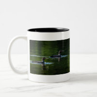 Two Common Loons