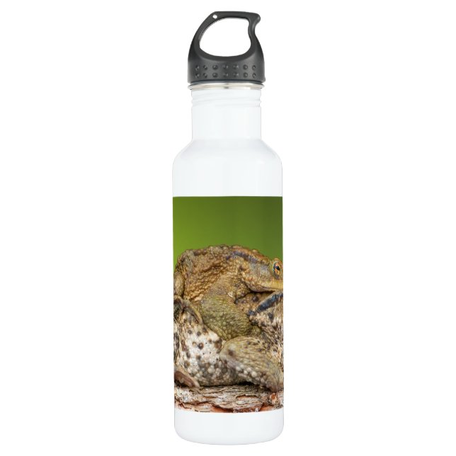 Two Common Toads Bufo Bufo Together 710 Ml Water Bottle (Front)