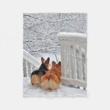 Two Corgis in the Snow