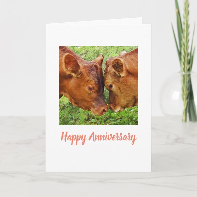 Two cows Anniversary Card (Front)