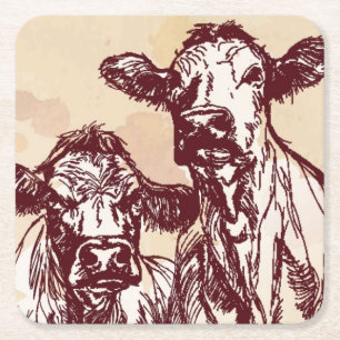 Two cows hand draw sketch & watercolor vintage square paper coaster