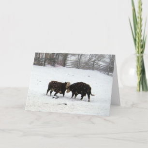 Two Cows While Snowing Thank You Card