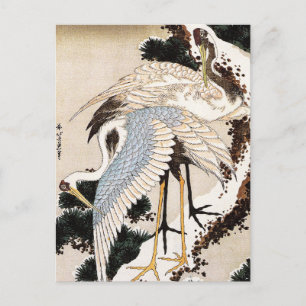 Two cranes on a pine covered with snow, Hiroshige Postcard