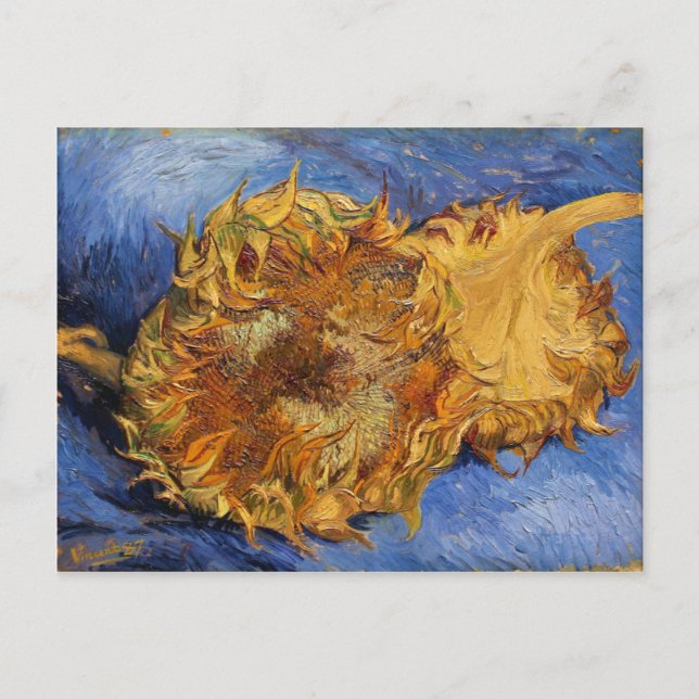 Two Cut Sunflowers, Vincent Van Gogh Postcard (Front)