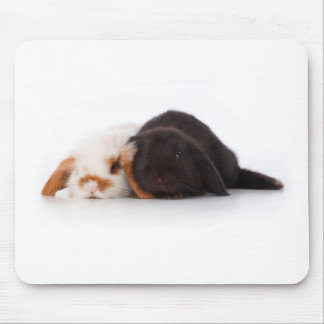 Two cute baby bunnies mouse pad