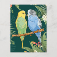 Two cute blue and green Budgie