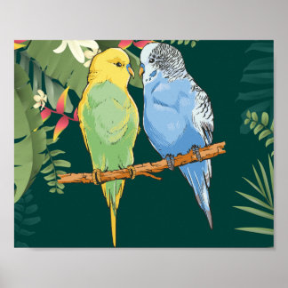 Two cute blue and green Budgies Poster