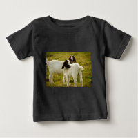 Two Cute Boer Goats in Field Photo