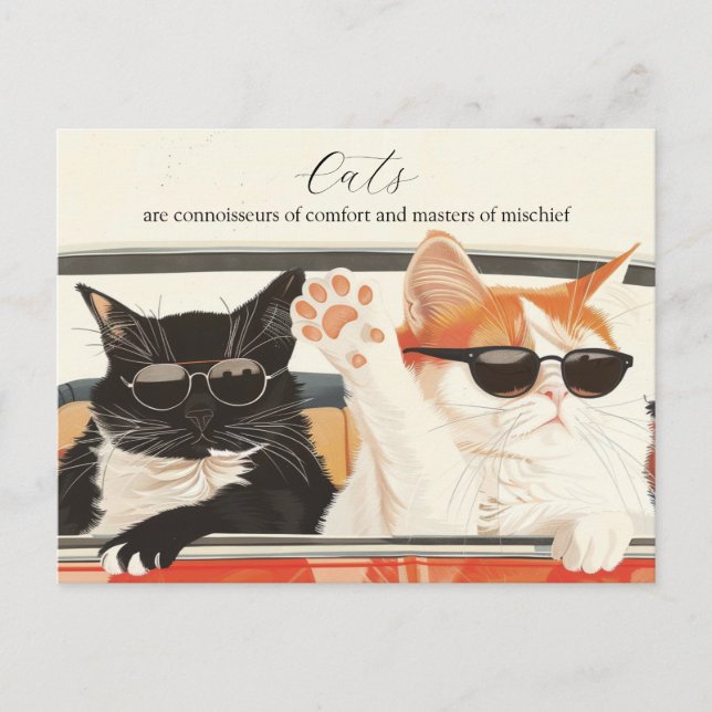 Two Cute Cats  Postcard (Front)