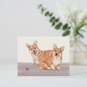 Two Cute Corgis Postcard