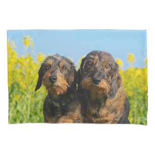 Two Cute Dachshund Dogs Dackel Photo  Pillow-Cover Pillowcase