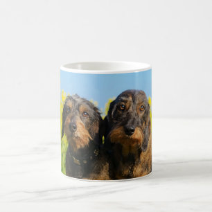 Two Cute Dachshund Dogs Dackel Portrait Photo _ Coffee Mug