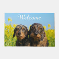 Two Cute Dachshunds Dogs Dackel Friends - Welcome