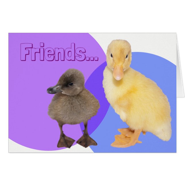 Two Cute Ducklings Photo Friends Custom Text (Front Horizontal)
