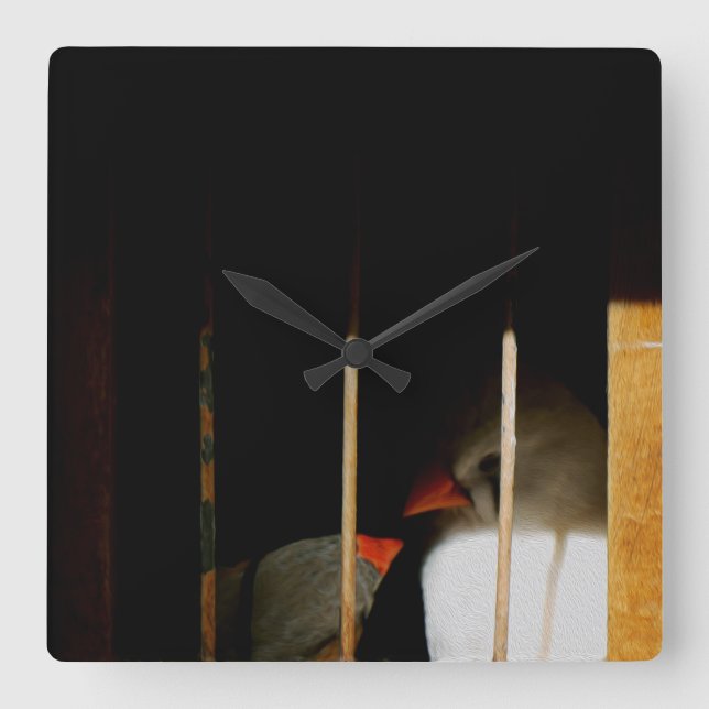 Two Cute Finch Birds in Cage Square Wall Clock (Front)