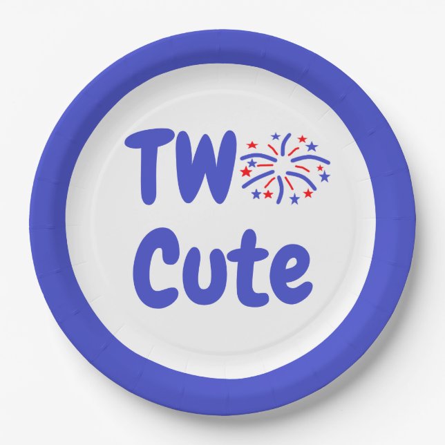 Two Cute Firework 2nd Birthday Paper Plate (Front)