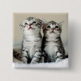 Two Cute Kittens 15 Cm Square Badge
