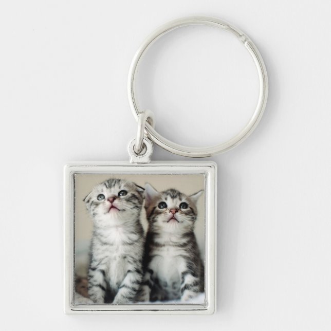 Two Cute Kittens Key Ring (Front)