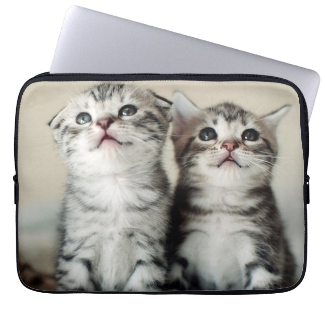 Two Cute Kittens Laptop Sleeve (Front)