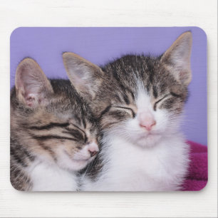 Two Cute Kittens Napping Mouse Pad