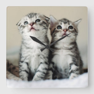 Two Cute Kittens Square Wall Clock