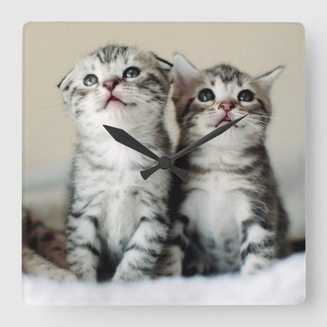 Two Cute Kittens Square Wall Clock (Front)