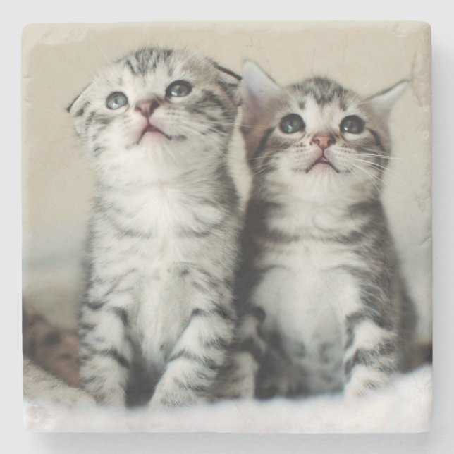 Two Cute Kittens Stone Coaster (Front)