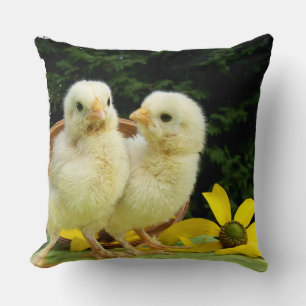 two cute little chick cushion