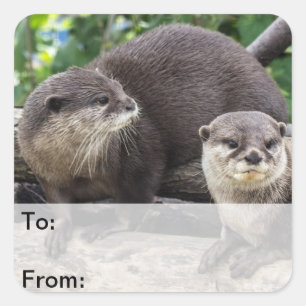 Two Cute Otters   Otter Square Sticker