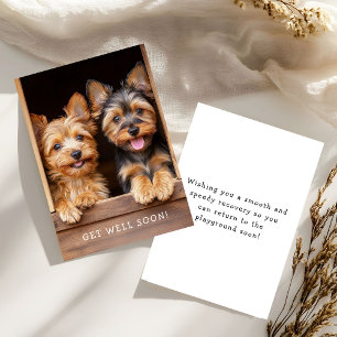 Two Cute Playful Yorkies Get Well Soon Card