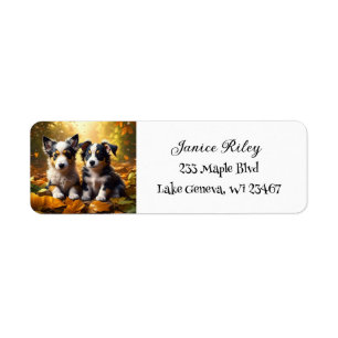 Two Cute Puppies Playing in Fall Leaves