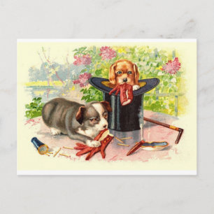Two Cute Puppies Vintage Postcard
