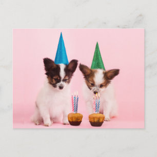 Two Cute Puppies /W Birthday Hats & Candles Postcard