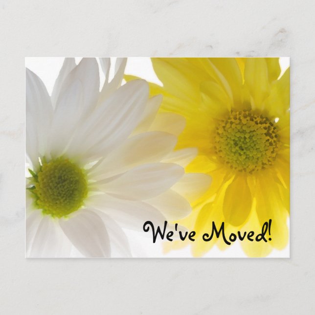 Two Daisies Change of Address Announcement Postcard (Front)