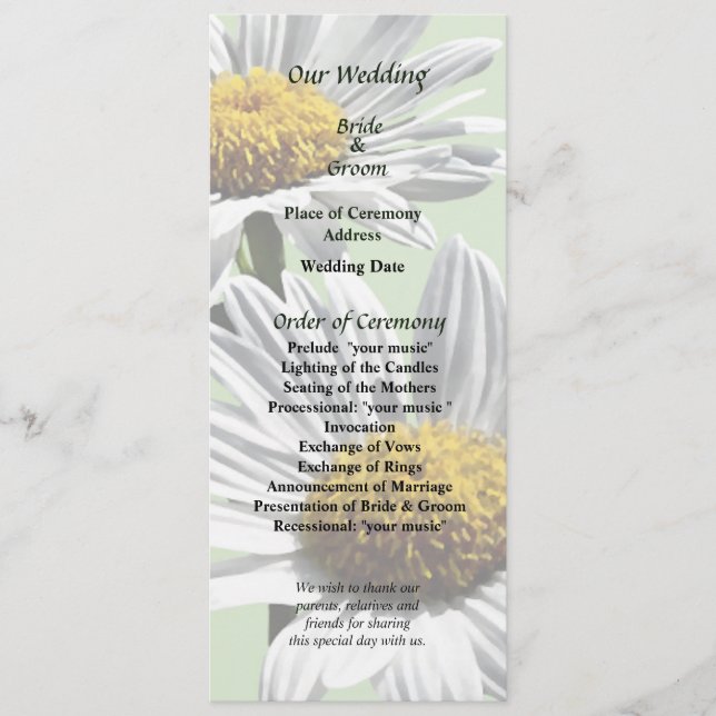 Two Daisies in Sunshine Wedding Program Programme (Front)