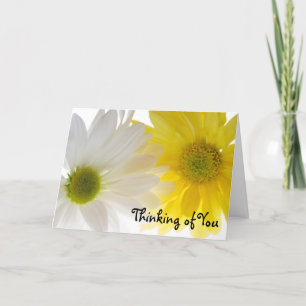 Two Daisies Thinking of You Card