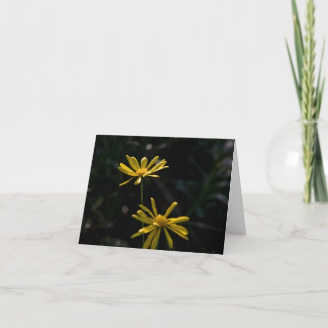 Two Daisy Flowers Card (Front)