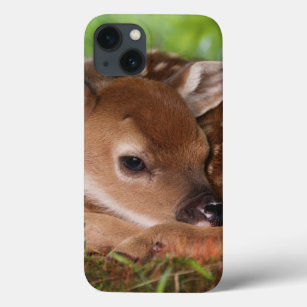 Two day old White-tailed Deer baby, Kentucky. iPhone 13 Case