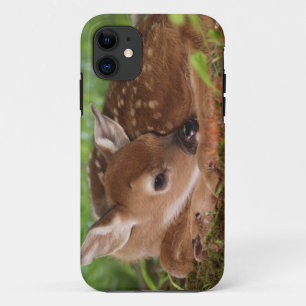 Two day old White-tailed Deer baby, Kentucky. Case-Mate iPhone Case