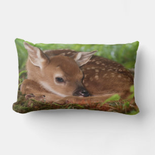 Two day old White-tailed Deer baby, Kentucky. Lumbar Cushion
