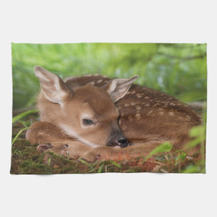Two day old White-tailed Deer baby, Kentucky. Tea Towel
