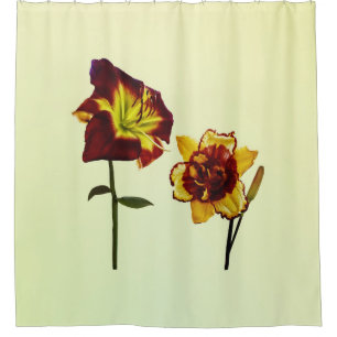 Two Daylilies having a Chat Shower Curtain