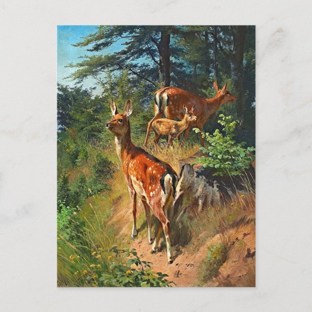 Two Deer And Cute Fawn In The Forest Postcard (Front)