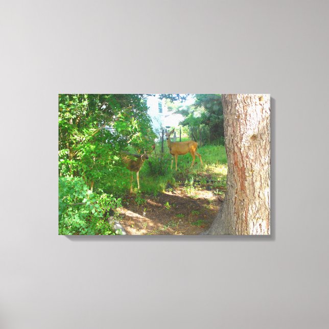 Two Deer Canvas Print (Front)