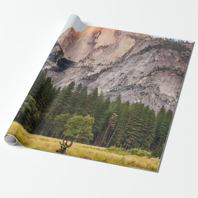 TWO DEER IN FRONT OF HALF DOME IN YOSEMITE VALLEY  WRAPPING PAPER (Unrolled)