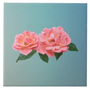 Two Delicate Pink Roses Tile