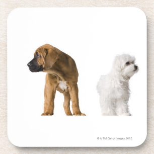 Two Dogs Coaster