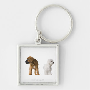 Two Dogs Key Ring
